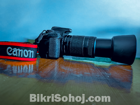 Canon 1300D with 55-250mm Lens